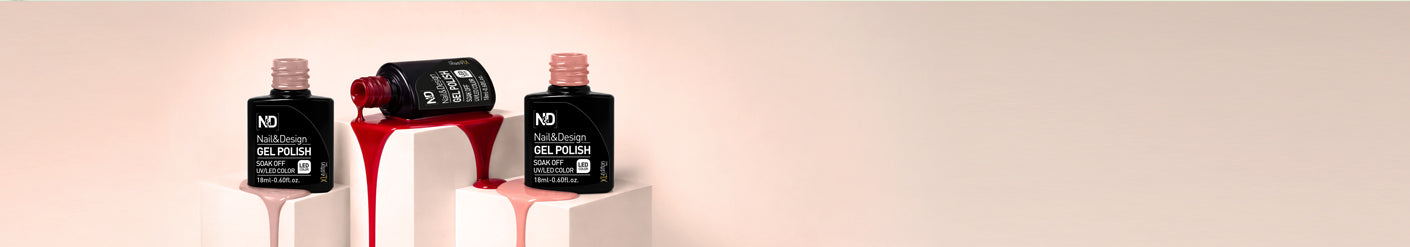 אן אנד די בייס / טופ / פריימר