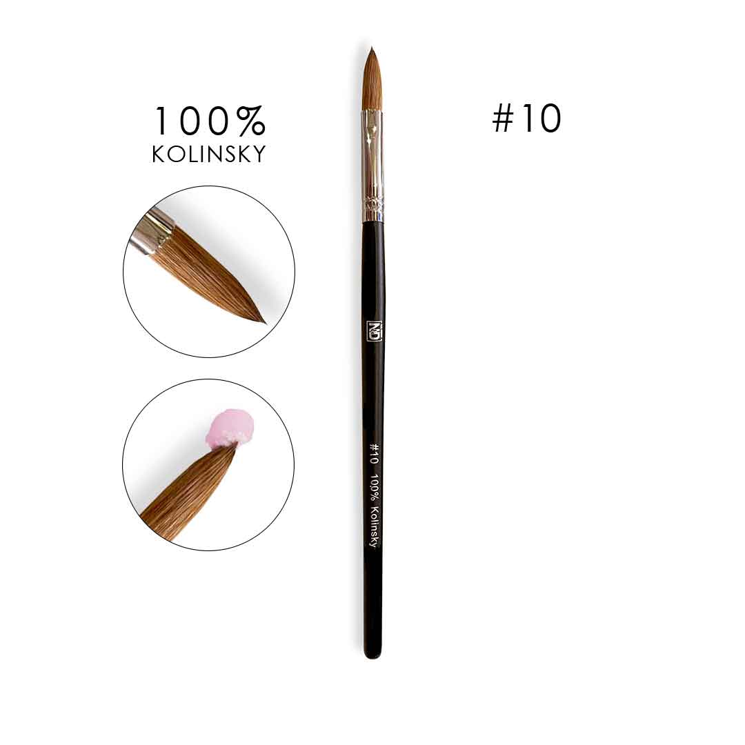 אן אנד די מכחול 10 לבנייה באקריל