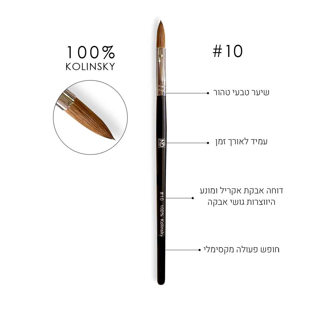 אן אנד די מכחול 10 לבנייה באקריל