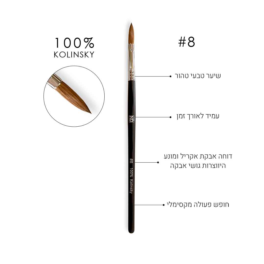 אן אנד די מכחול 8 לבנייה באקריל